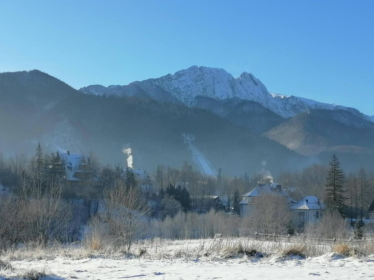 Willa U Kosle 2 Lägenhet Zakopane Exteriör bild