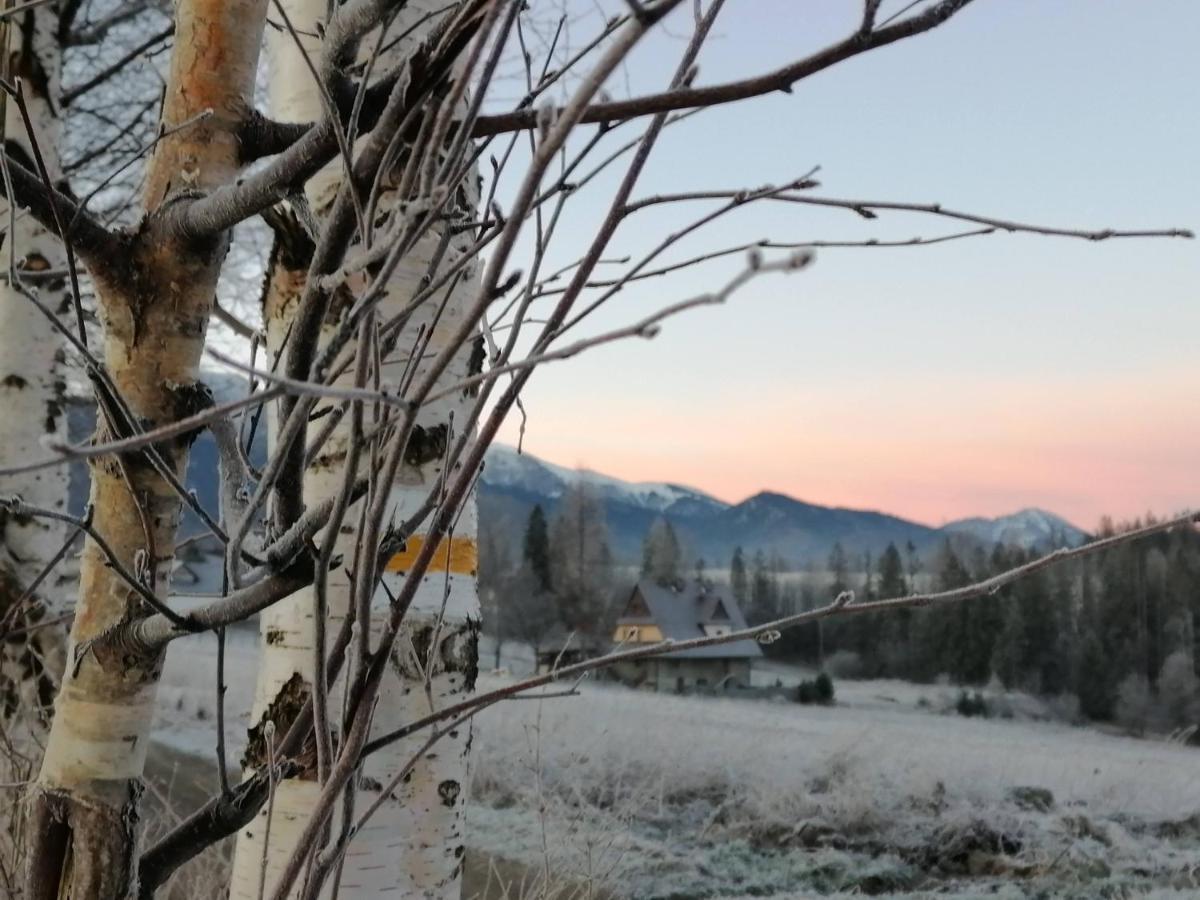 Willa U Kosle 2 Lägenhet Zakopane Exteriör bild