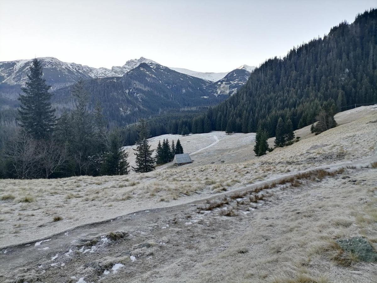 Willa U Kosle 2 Lägenhet Zakopane Exteriör bild