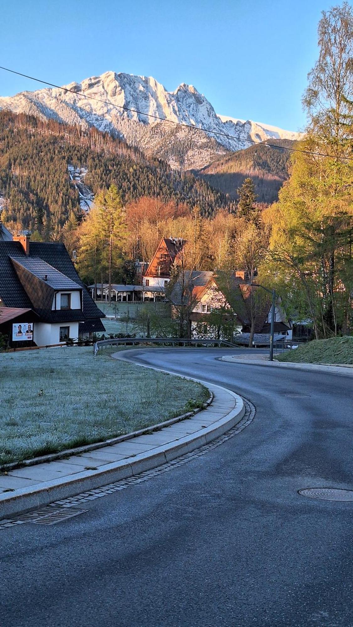 Willa U Kosle 2 Lägenhet Zakopane Exteriör bild