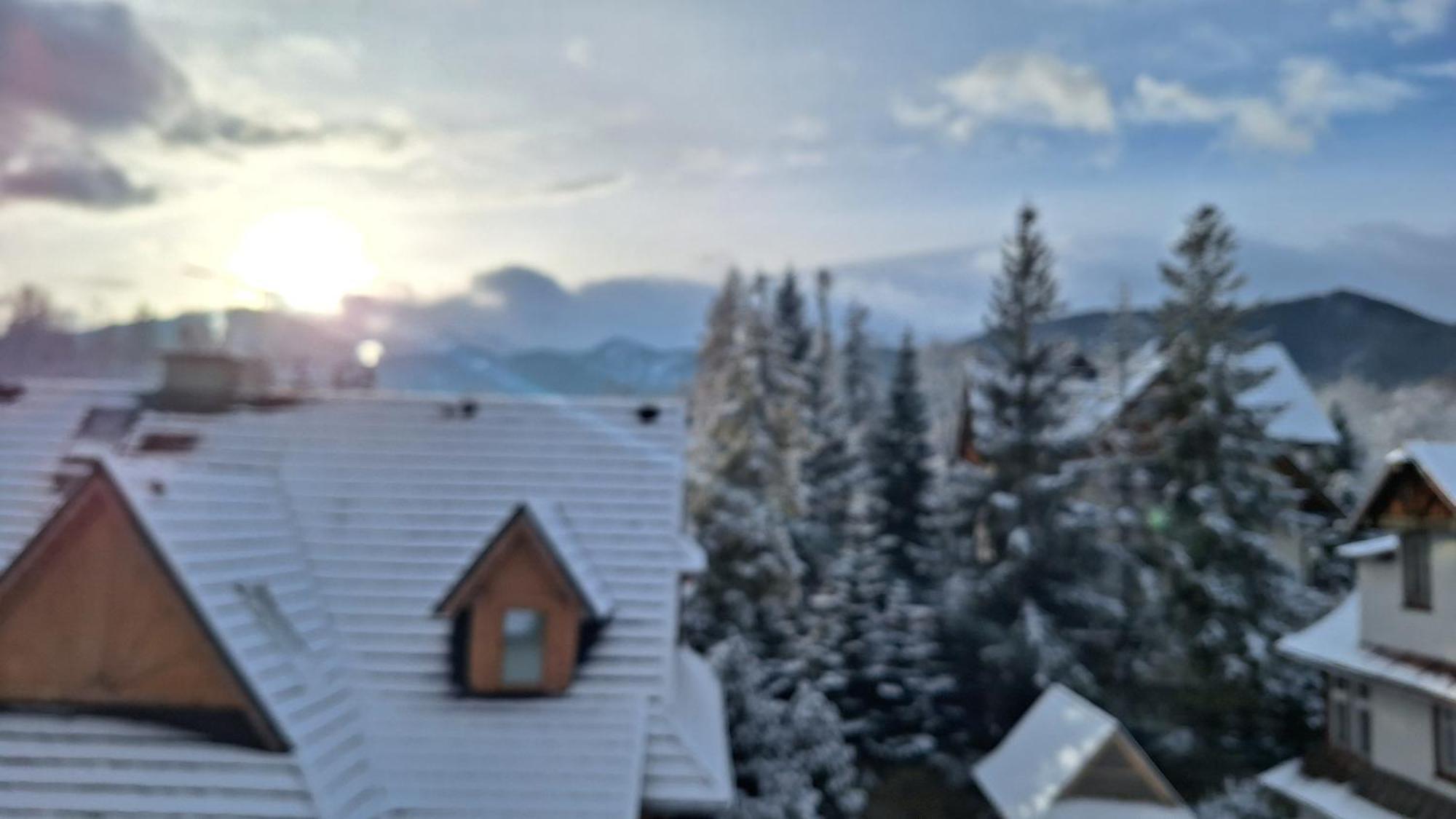 Willa U Kosle 2 Zakopane Exteriör bild