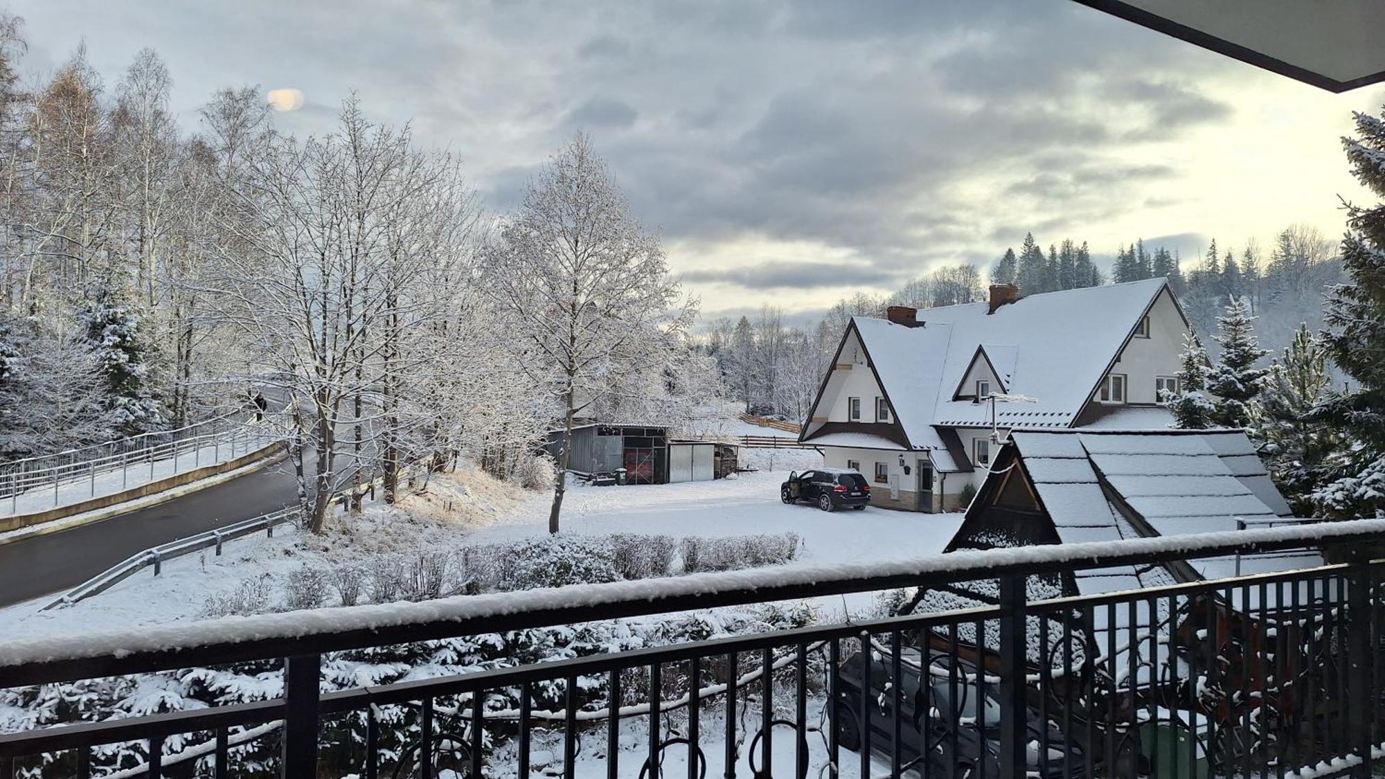 Willa U Kosle 2 Zakopane Exteriör bild