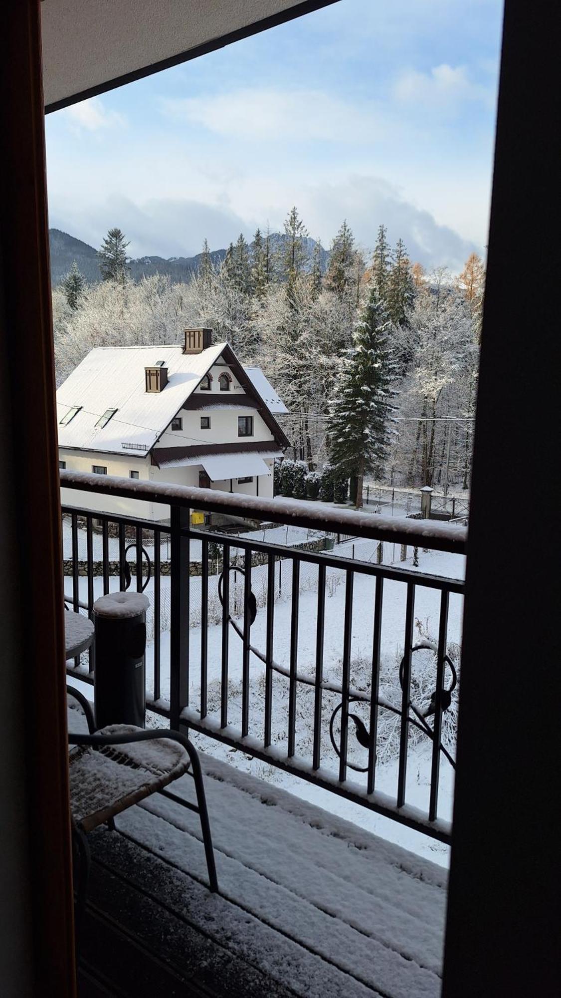 Willa U Kosle 2 Zakopane Exteriör bild