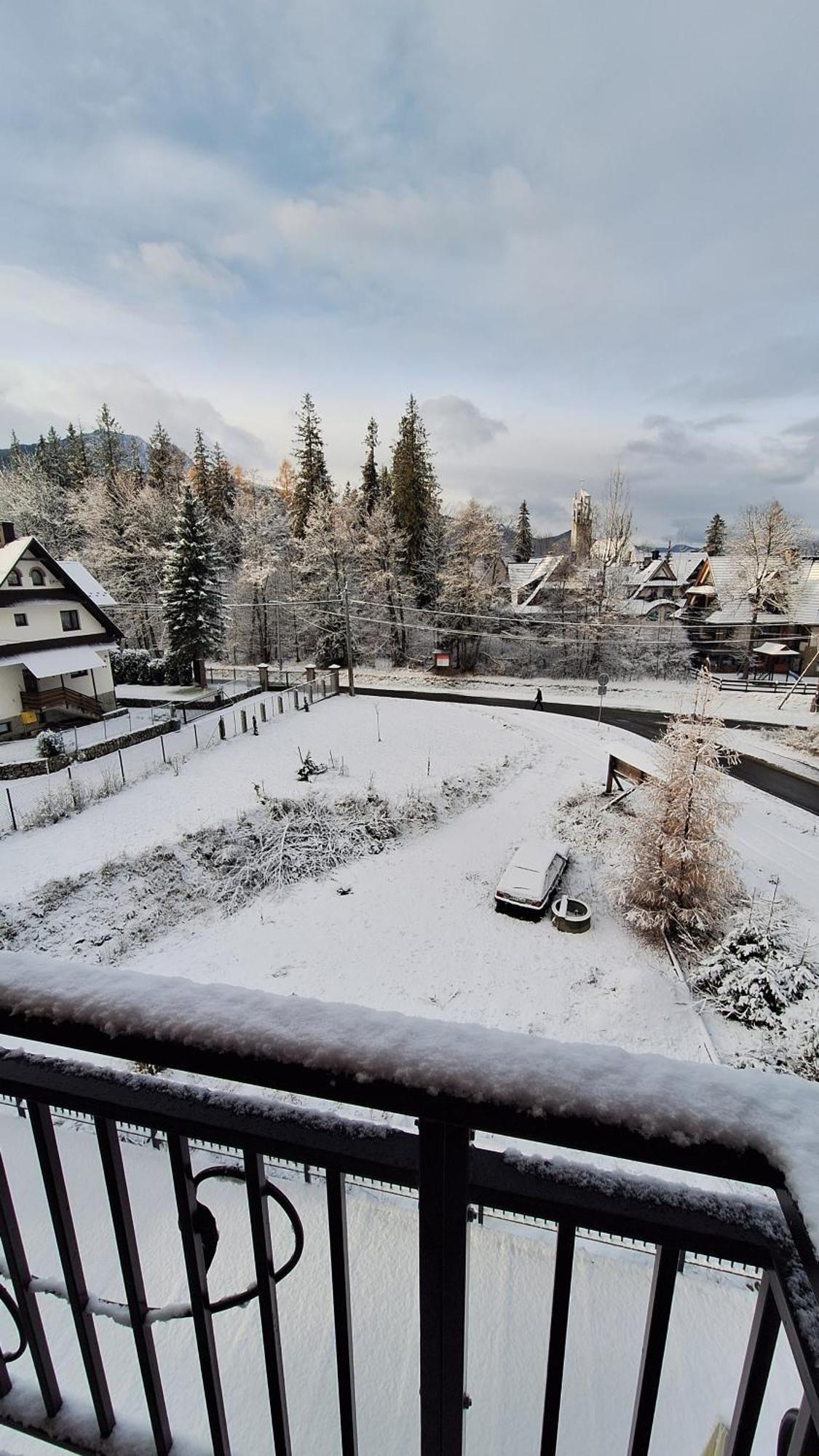 Willa U Kosle 2 Zakopane Exteriör bild