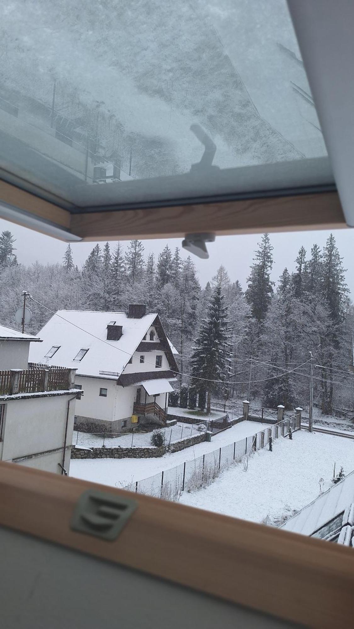 Willa U Kosle 2 Zakopane Exteriör bild