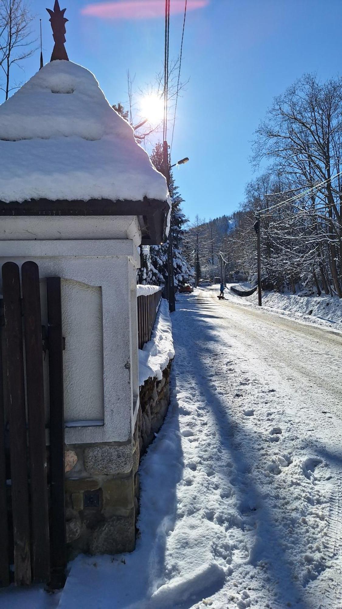 Willa U Kosle 2 Zakopane Exteriör bild